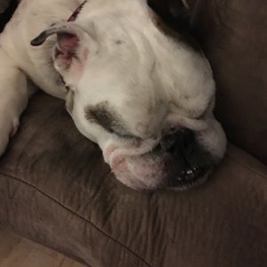 Meet your Posher, Donna