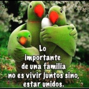 Meet your Posher, Carmina