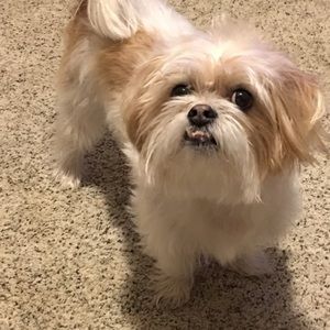 Meet your Posher, James