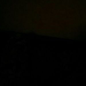 Meet your Posher, Williams