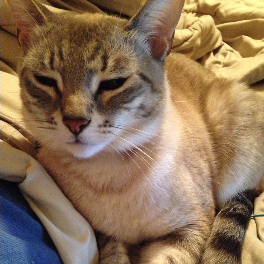 Meet your Posher, Jy