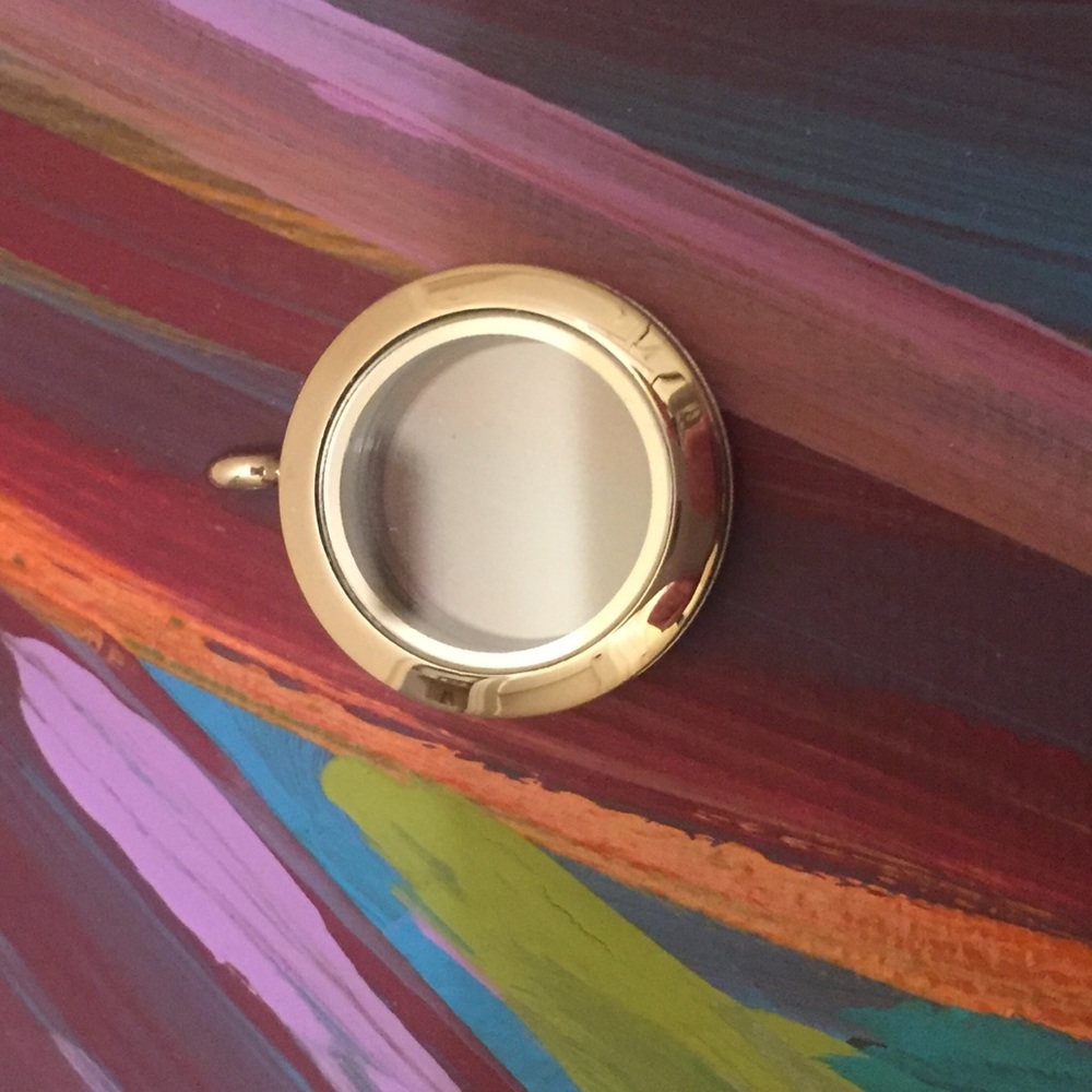 Large Silver Hinged Living Locket