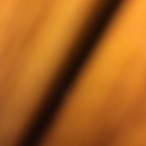 Meet your Posher, Oscar