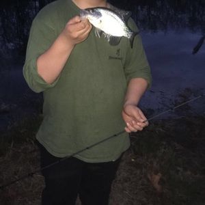 Meet your Posher, Mitchell