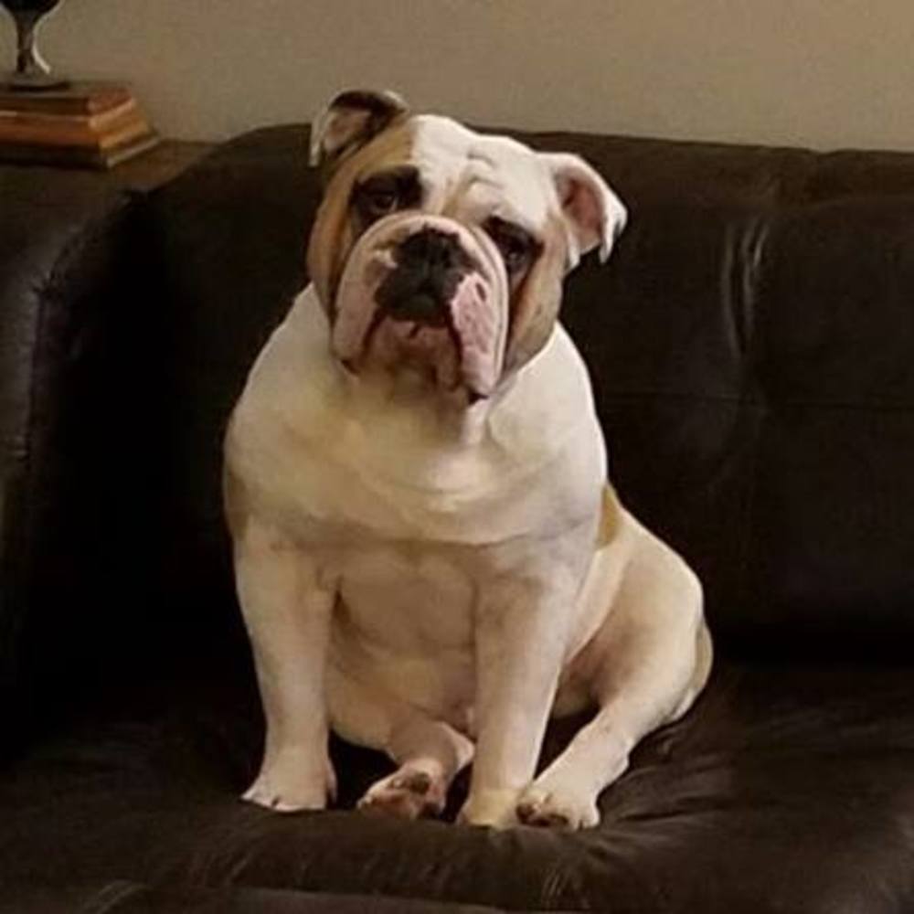 Meet your Posher, Leah