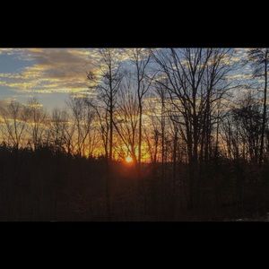 Meet your Posher, Cayden