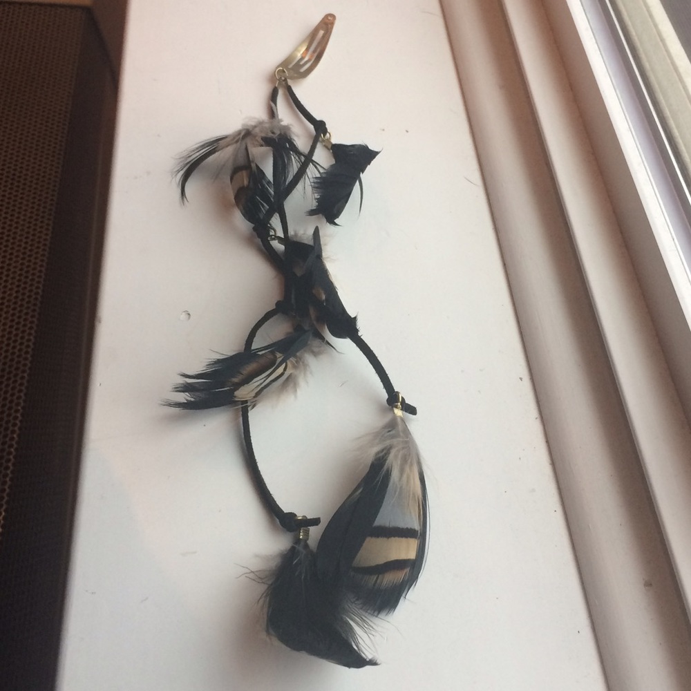 Black Hair Feathers