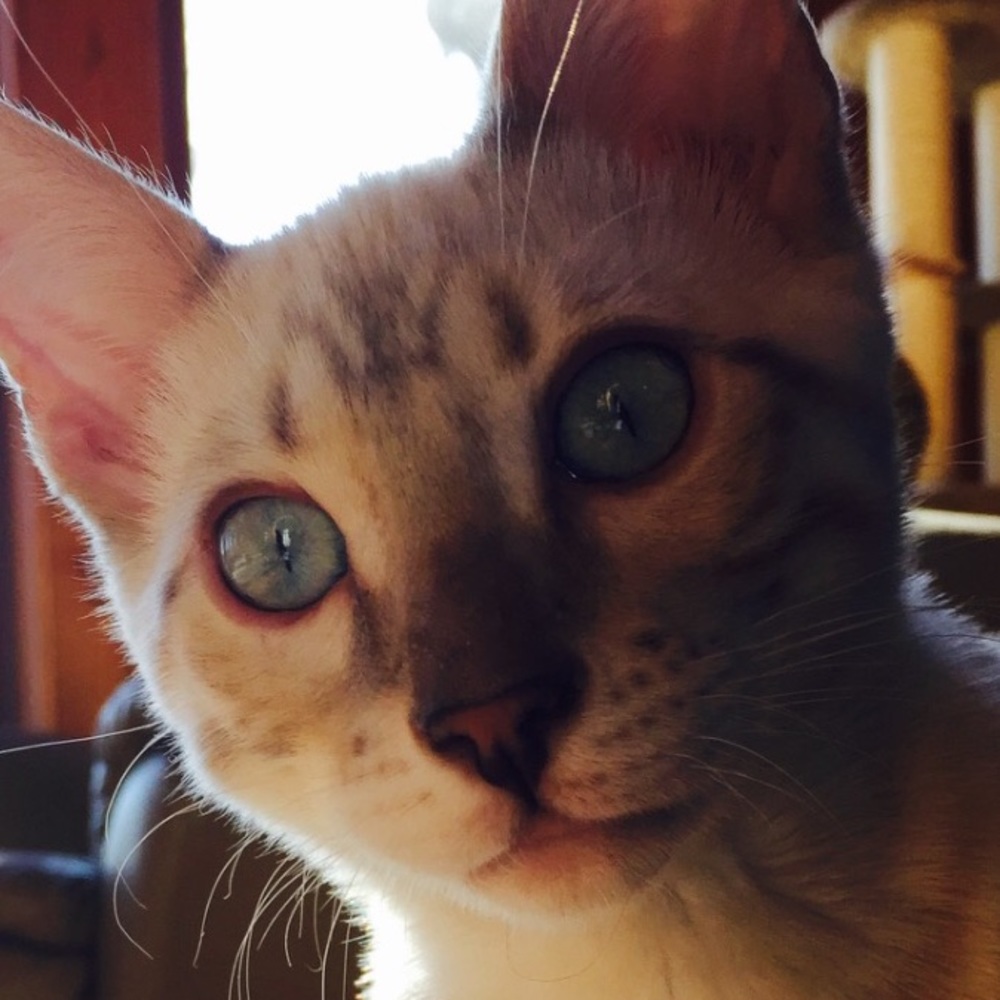 Meet your Posher, Charity