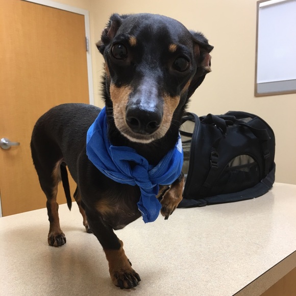 Meet your Posher, Sarah! - Picture 2 of 6