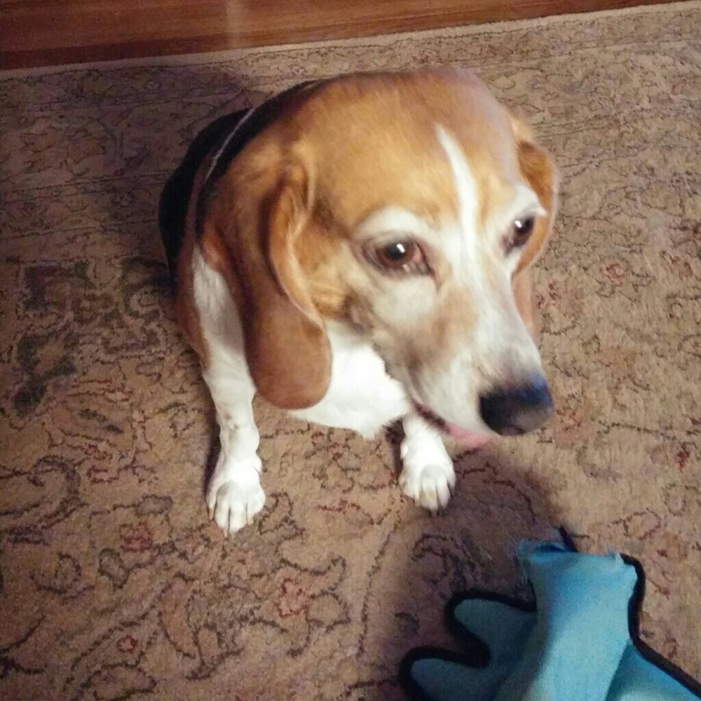 Meet your Posher, Charlene