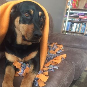 Meet your Posher, Betsy