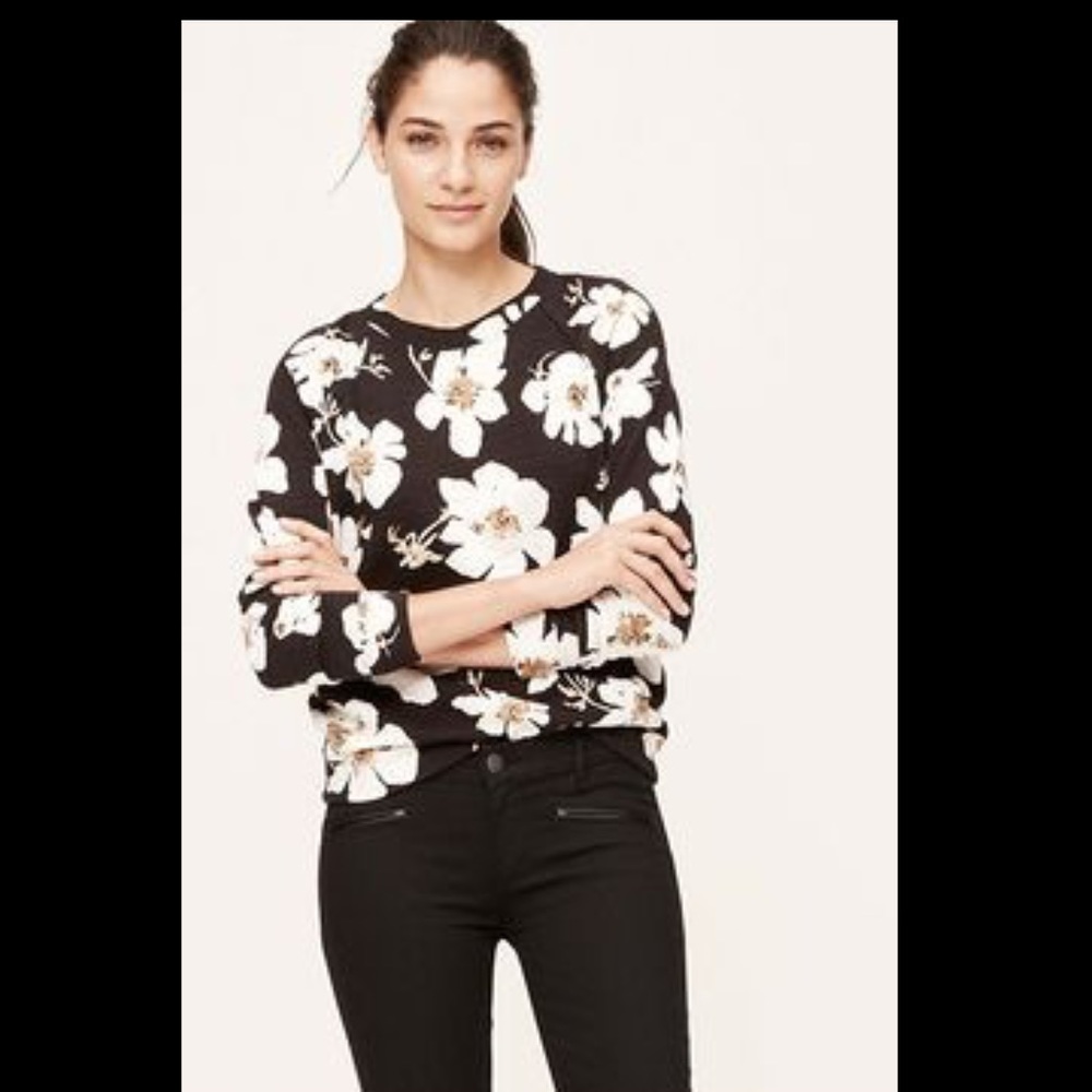 Super cute n cozy LOFT sweatshirt