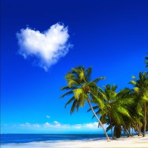 Meet your Posher, Dianne