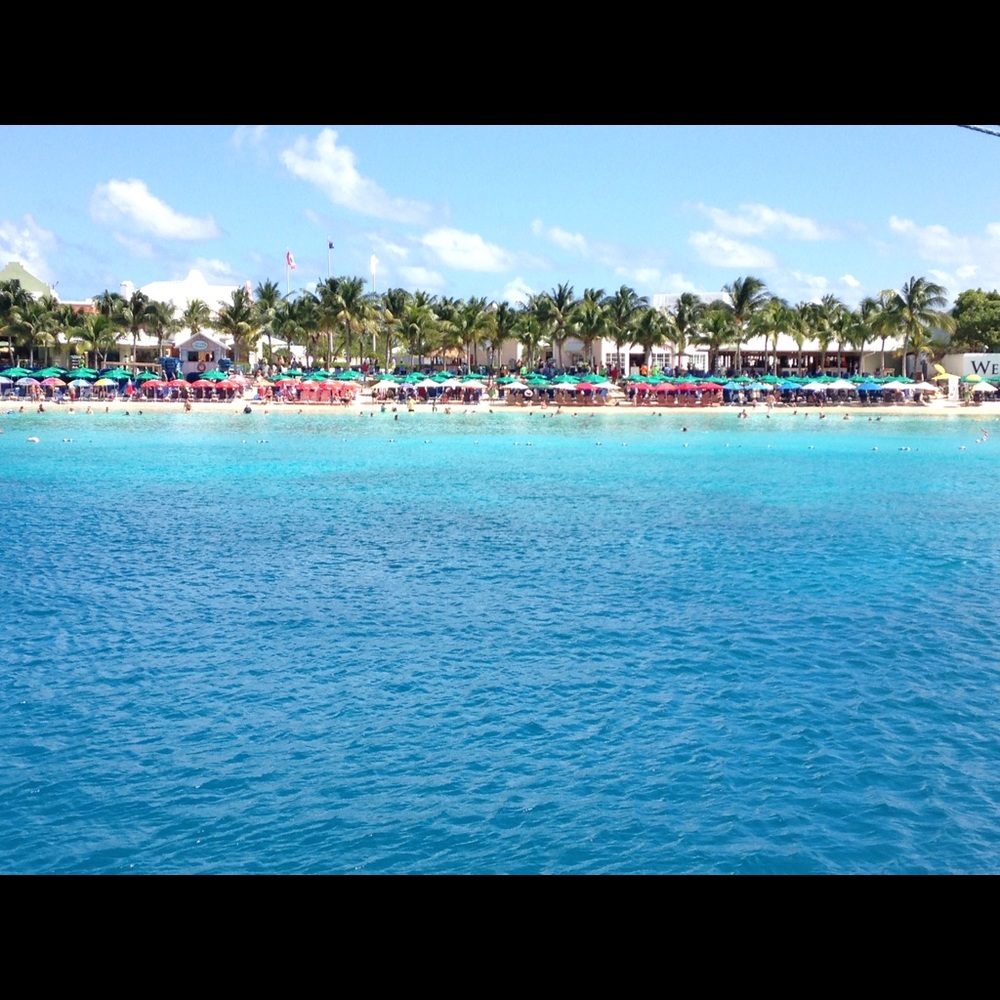 Meet your Posher, Karina