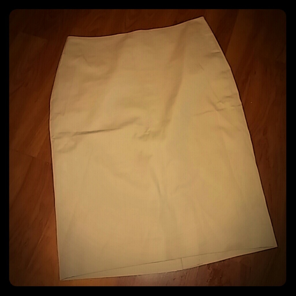 ANN TAYLOR SKIRT