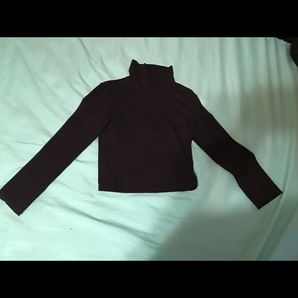 Turtle neck long sleeve crop top