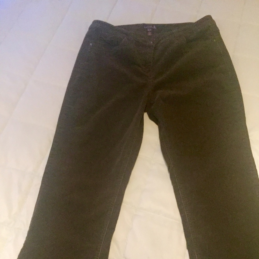 LTS bootcut cords