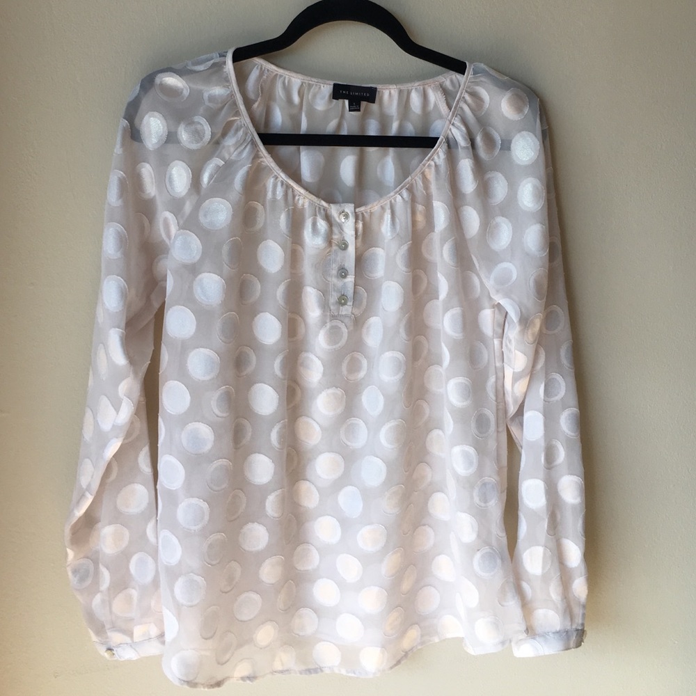 Sheer Blouse - Blush and Gold - The Limited