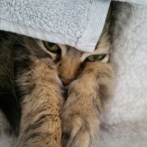 Meet your Posher, Katie