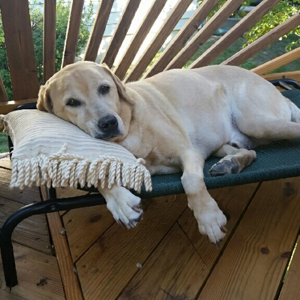 Meet your Posher, Lorna