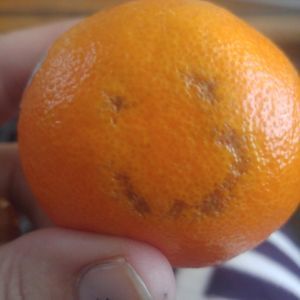 Meet your Posher, Rachael