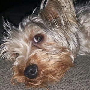 Meet your Posher, Jamie