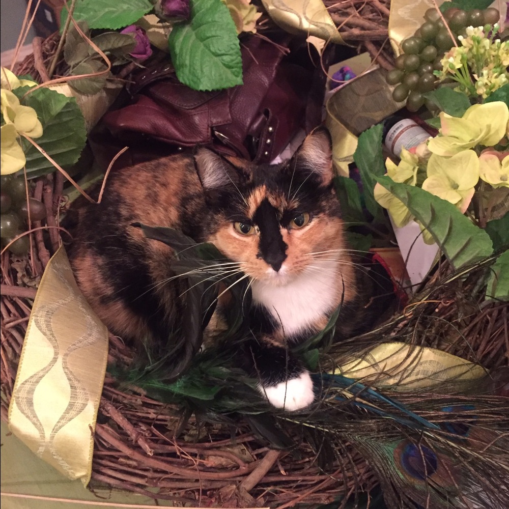 Meet your Posher, Lesli