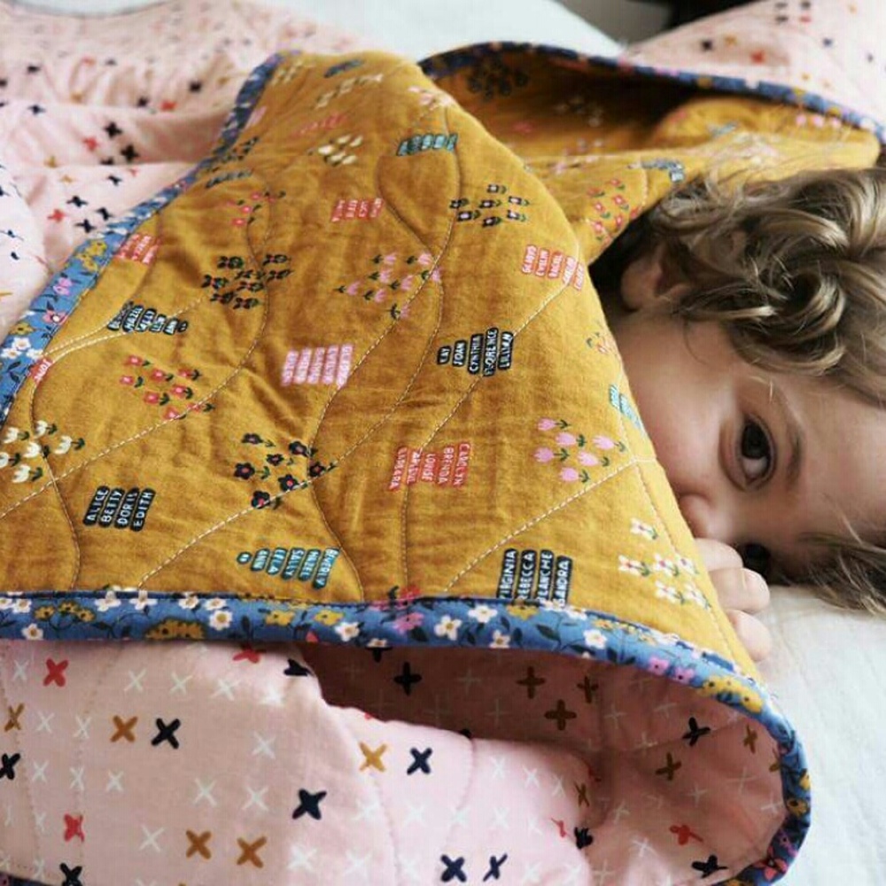 Toddler or Crib quilt wit case