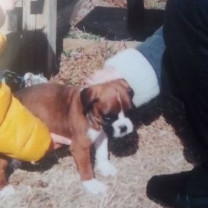 Meet your Posher, Tyler