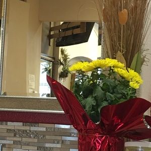 Meet your Posher, Phuong