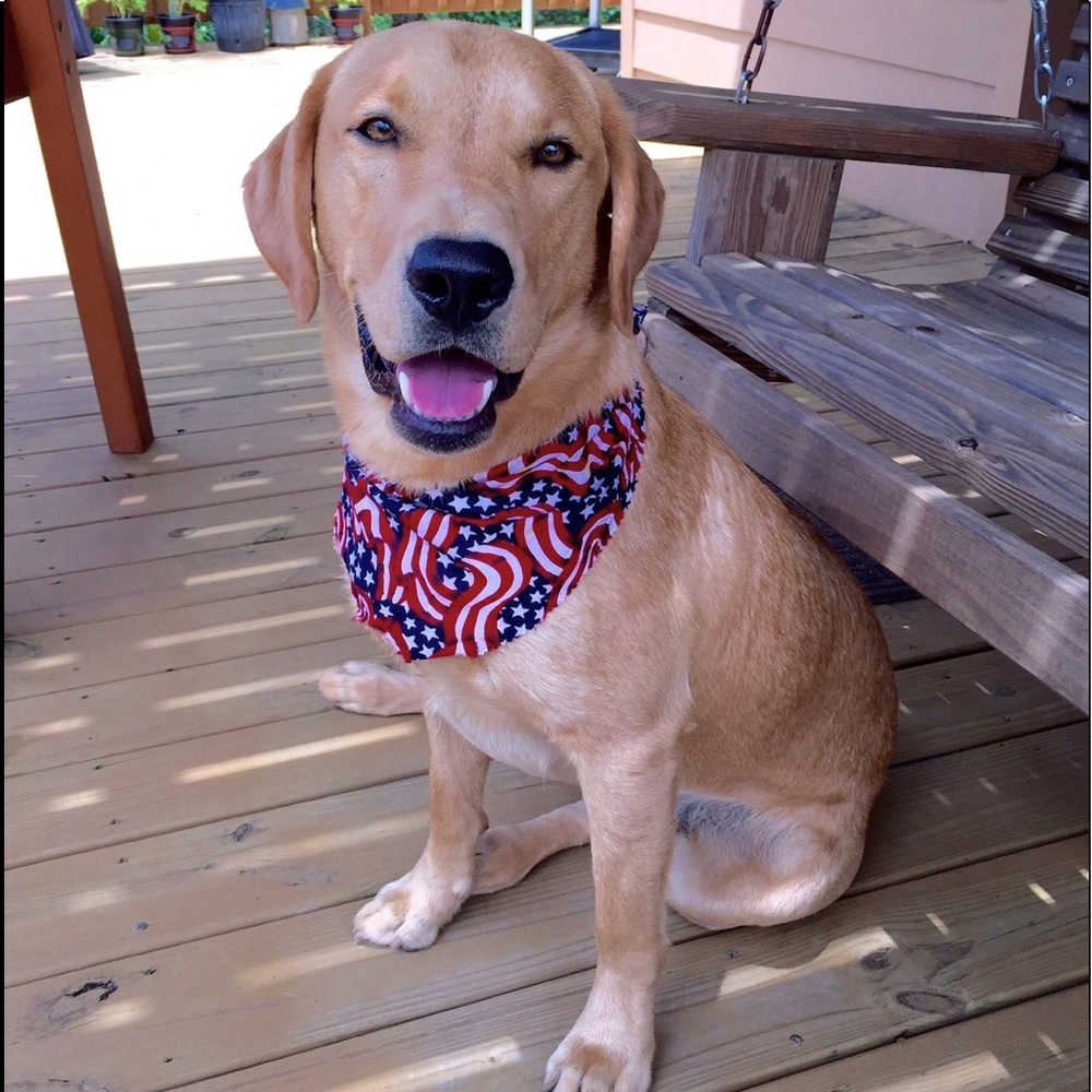 Meet your Posher, Christy