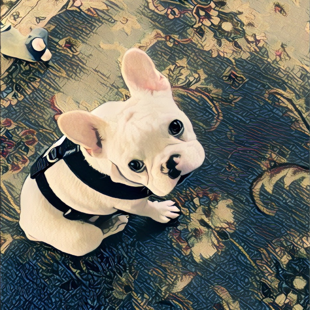 Meet your Posher, Heather