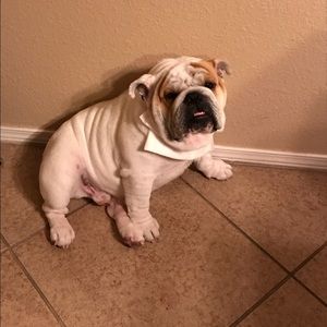 Meet your Posher, Eduardo