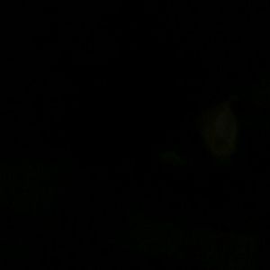 Meet your Posher, Kee