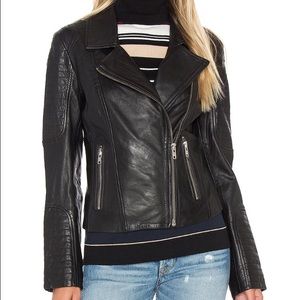BB Dakota Heely Leather Jacket in Black
