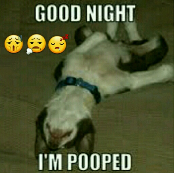 Congrats to Everyone Who Received HP's and Sales - Picture 2 of 4