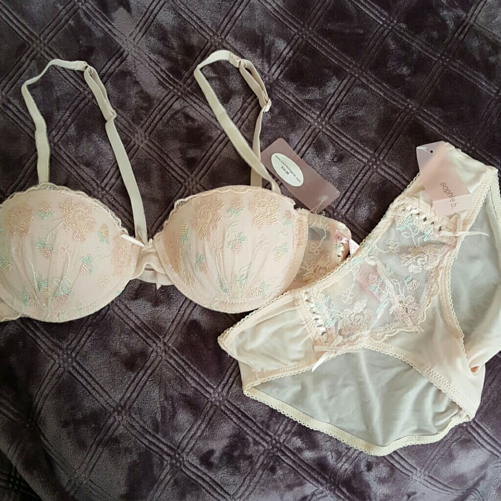NWT pink embroidered padded pushup bra + panty set