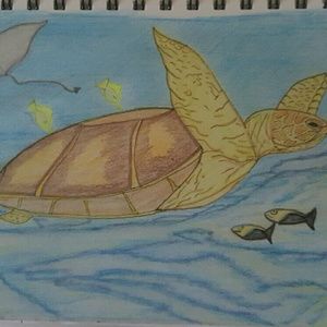 Meet your Posher, Theresa