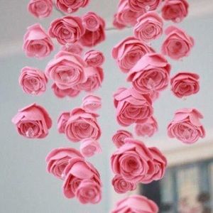 Meet your Posher, Irma