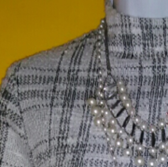 Cato - Picture 2 of 4