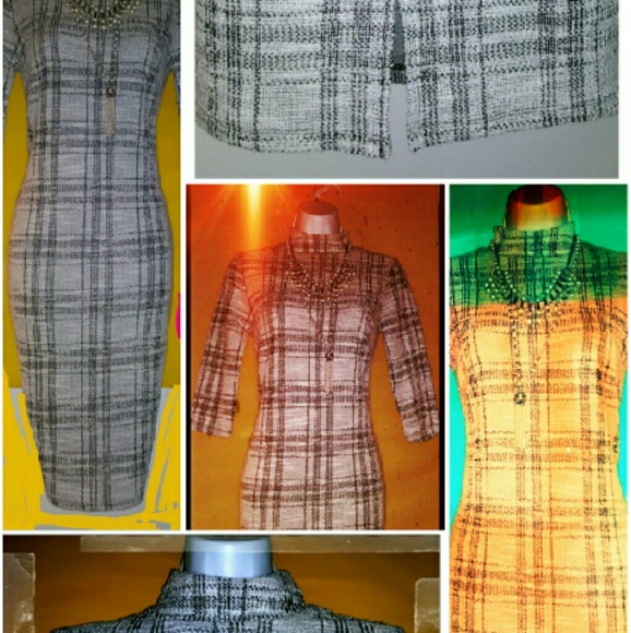 Cato - Picture 4 of 4