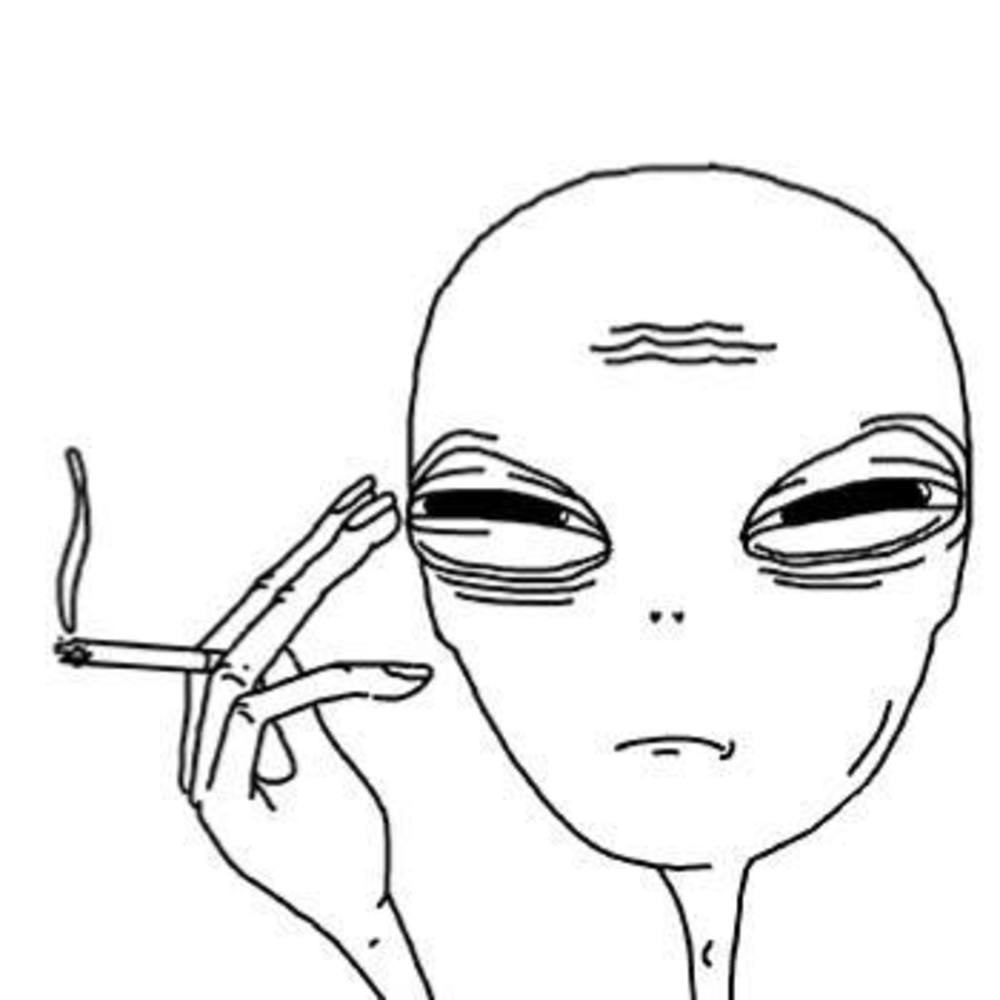 Meet your Posher, Shoshana