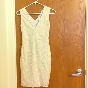 Romantic lace Charlotte Russe dress NWT