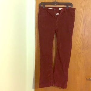 Burgundy Corduroy Anthropologie Pants