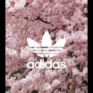 Meet your Posher, Paige