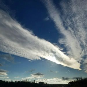 Meet your Posher, Suzanne