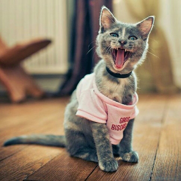 Tops! - Picture 2 of 3