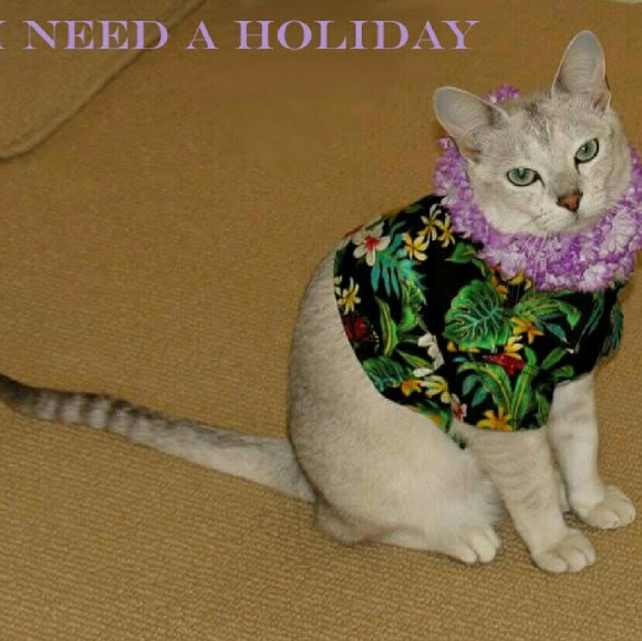 Tops! - Picture 3 of 3