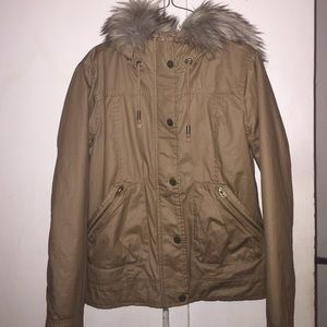 Brown Winter Jacket