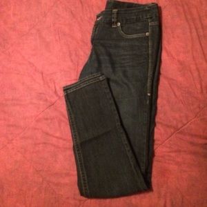 Torrid Skinny Jeans